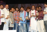Yamaho Yama Movie Audio Launch